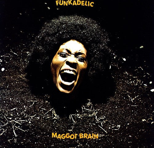 Funkadelic - Maggot Brain - The Hobby Swap