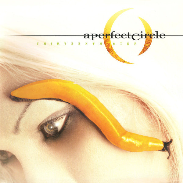 A Perfect Circle - Thirteenth Step - 2xLP - The Hobby Swap